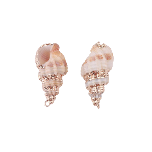 Natural Conch Shell