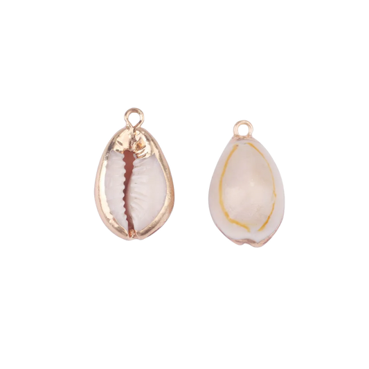 Natural Cowrie Shell